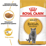Royal Canin British Shorthair Роял Канін бритиш для британських кішок, 400 гр, фото 3