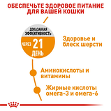 Royal Canin Hair and Skin 33 Роял Канин корм для котів для краси шкіри та шерсті, 4 кг., фото 6