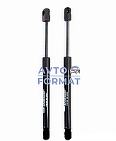 Газовий амортизатор багажника PORSCHE CAYENNE 2003-2008 1900N 255mm