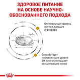 Сухий корм Royal Canin URINARY S/O Роял Канін Урінари С/О для котів , 400 гр, фото 5