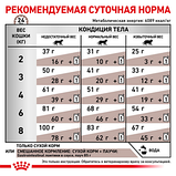 Royal Canin Gastrointestinal Роял Канин гастроінтенсіал дієта для котів при розладах травлення, 4 кг., фото 2