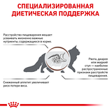 Royal Canin Gastrointestinal Роял Канин гастроінтенсіал дієта для котів при розладах травлення, 4 кг., фото 5