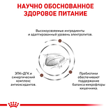 Royal Canin Gastrointestinal Роял Канин гастроінтенсіал дієта для котів при розладах травлення, 4 кг., фото 3