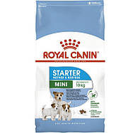 Сухой корм Royal Canin Mini Starter (Роял Канин Мини Стартер) 8 кг для беременных и кормящих собак до 10 кг