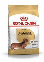 Сухий корм Royal Canin Dachshund Adult (Роял Канін Даксхунд Эдалт) 1.5 кг для дорослих собак породи такса