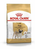 Сухий корм Royal Canin Pug Adult (Роял Канін Паг Эдалт) 1.5 кг для дорослих собак породи мопс
