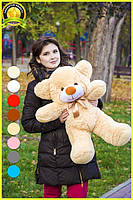 Плюшевий ведмедик М'яка іграшка Рафаель 80 см Бежевий, фото 2