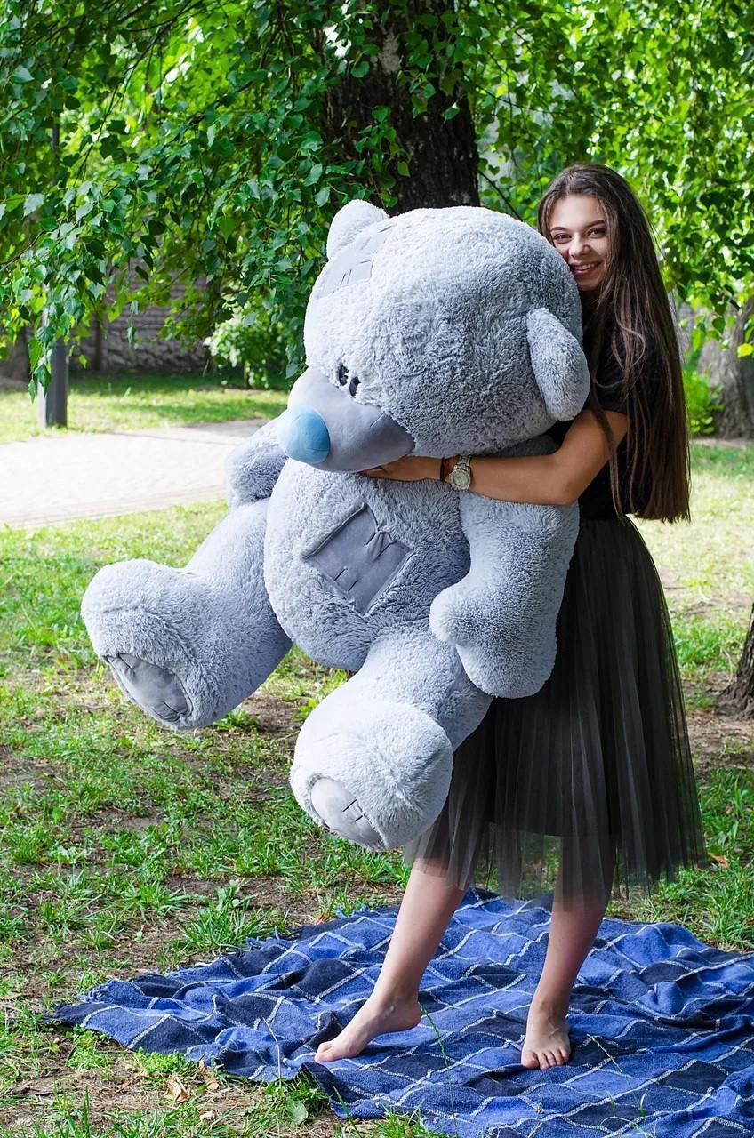 Bear Potap gray