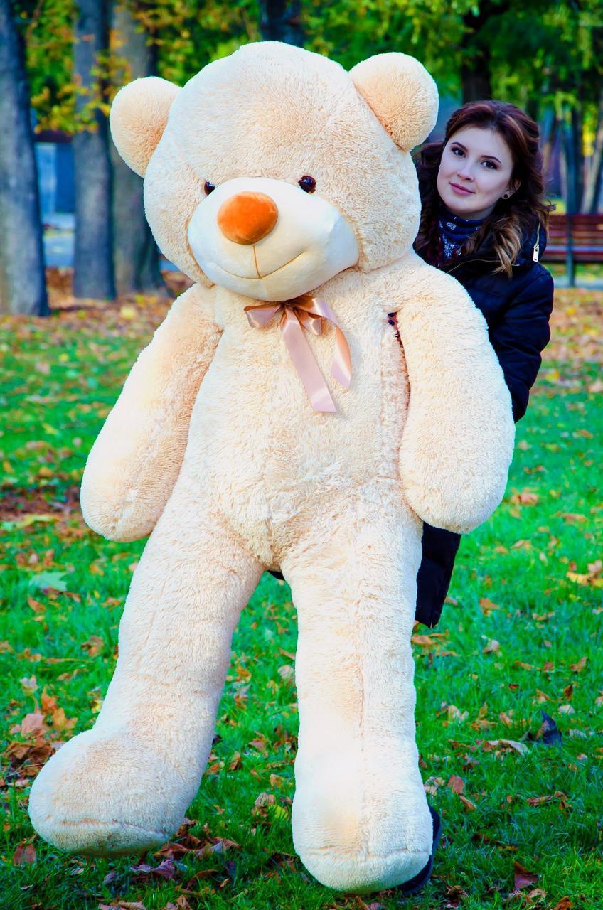 Bear Rafael 180 cm beige