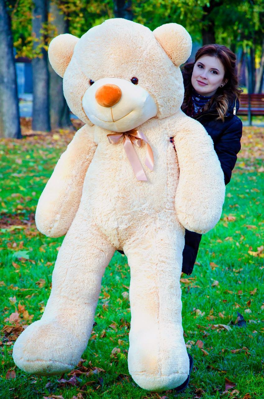 Bear Rafael 180 cm beige
                        