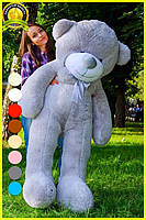 Плюшевий ведмедик М'яка іграшка Рафаель 180 см Сірий, фото 2