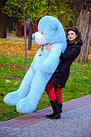 Плюшевий ведмедик М'яка іграшка Рафаель 180 см Блакитний, фото 6
