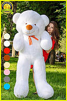 М'яка  іграшка подарунок на 8 березня плюшевий ведмедик,  плюшевий ведмедик Рафаель 180 см Білий, фото 2