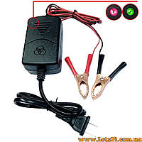 Зарядний пристрій для акумулятора автомобіля та скутера