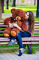 Плюшевий ведмедик М'яка іграшка Томии 100 см Шоколадний, фото 3