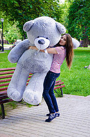 Плюшевий ведмедик М'яка іграшка Ветли 160 см Сірий