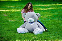 Плюшевий ведмедик М'яка іграшка Томии 150 см Сірий, фото 3