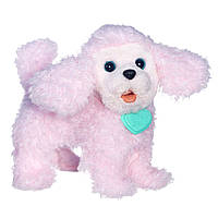 Інтерактивна іграшка Hasbro FurReal Friends Цуценя пудель PomPom Walkin Puppies Pretty Poodle Toy Plush