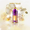 Парфумована вода унісекс Montale Orchid Powder міні парфум 20мл оригінал, пудровий нішевий аромат, фото 3