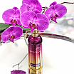 Парфумована вода унісекс Montale Orchid Powder міні парфум 20мл оригінал, пудровий нішевий аромат, фото 4