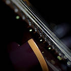 Електрогітара CORT G300 PRO (Black), фото 6