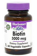 Биотин Bluebonnet Nutrition Biotin 5000 mcg 60 veg caps Витамин В7