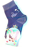 Шкарпетки дитячі демісезонні синього кольору, р. 14-16, фото 2