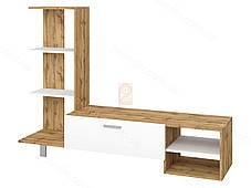 Тумба під телевізор Дакар 1170х1616х420мм Пехотін, фото 3