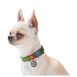 Нашийник для собак нейлоновий WAUDOG Nylon з QR паспортом, малюнок "Авокадо", пластиковий фастекс, фото 4