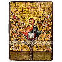 Ікона Спас Лоза Істинна, Господь Вседержитель ,ікона на дереві 130х170 мм