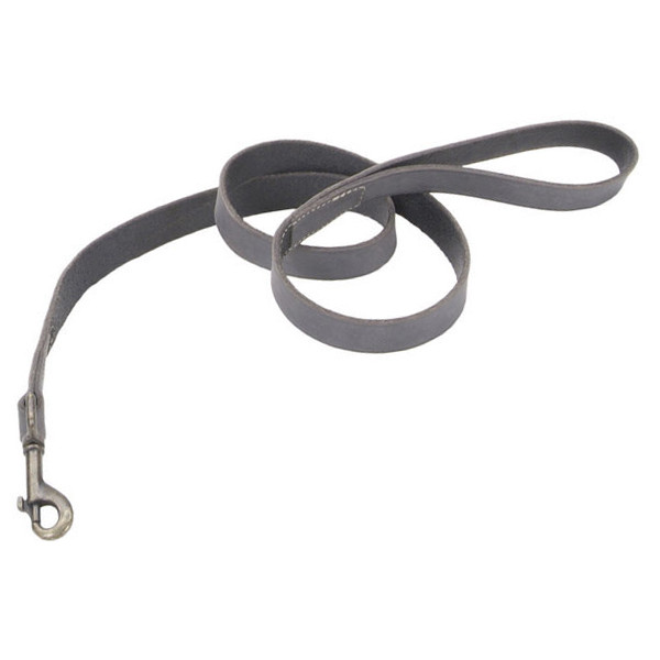 Coastal Rustic КОСТАЛ РУСТИК шкіряний повідець для собак, 2.5 смХ1.2м, фото 1