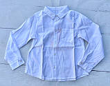 Сорочка для хлопчиків Біла Бавовна РБ140 Бембі, фото 2
