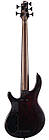 5-струнна бас-гітара CORT B5 Element (Open Pore Natural), фото 4