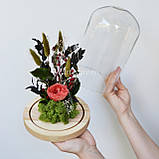Роза в колбі «Корал» з Гарантією 5 років! Стабілізована троянда. Оригінальний подарунок!, фото 6