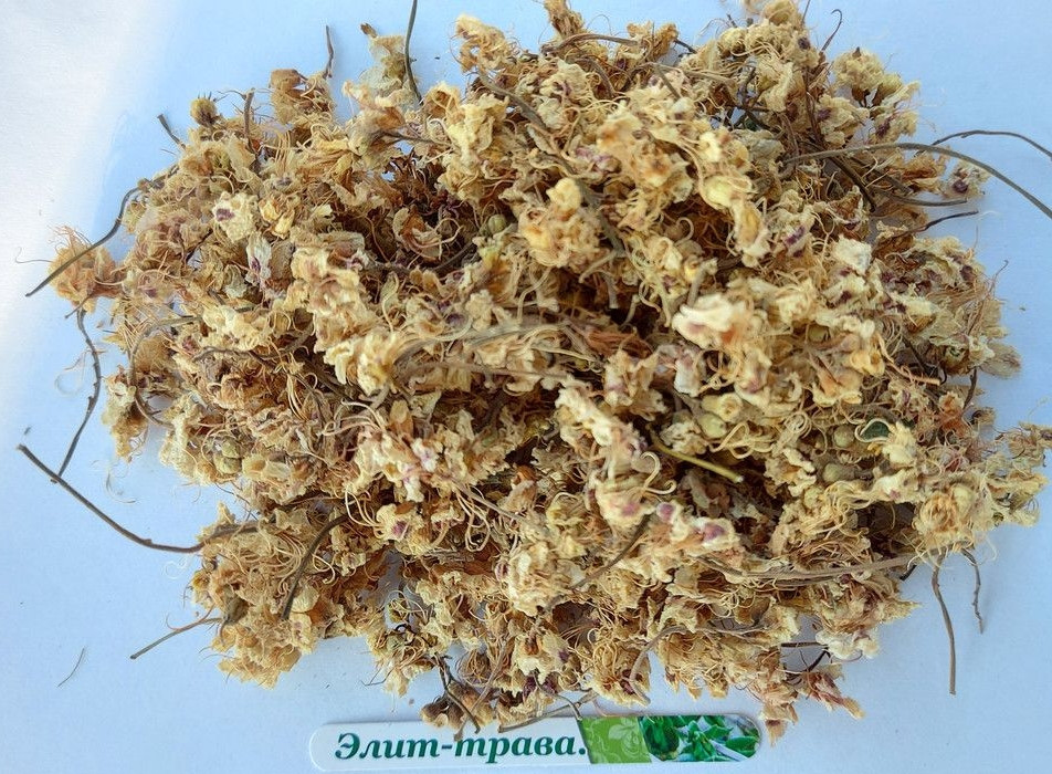 Каштан кінський квітки 100 грам