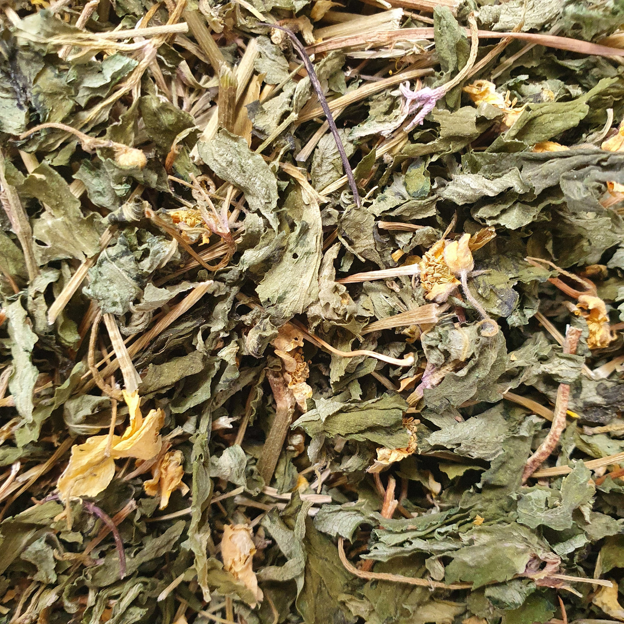 100 г анемона желтая/ветреница лютиковая трава сушеная - свежий урожай ...