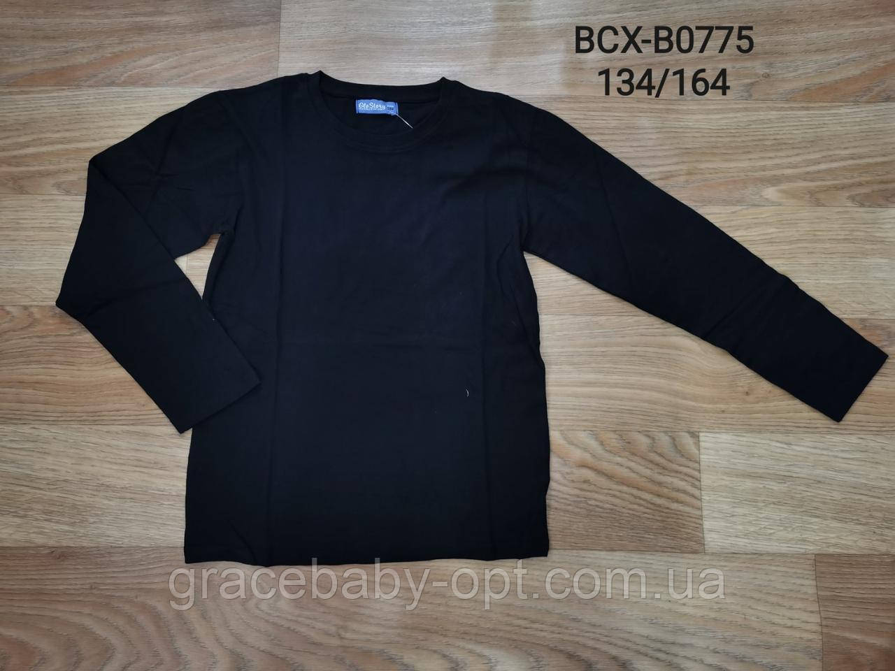 Реглан для хлопчиків, Glo-story, 134,140 см, № BCX-0745, фото 1