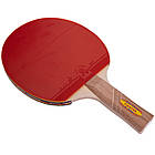 Набір для настільного тенісу Giant Dragon Fighter 5689 3 Star, фото 3