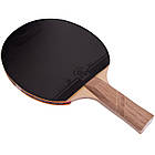 Набір для настільного тенісу Giant Dragon Fighter 5689 3 Star, фото 2