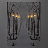 Картина з світловими ефектами зимовий парк із лавочками і вуличними ліхтарями, 6 LЕD ламп, 40х30 см (940171), фото 2
