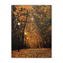 Картина з світловими ефектами осінній парк з опалим листям, 3 LЕD лампи, 40х30 см (940065)