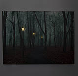 Картина з світловими ефектами стежка у парку з вуличними ліхтарями, 3 LED лампочки, 30х40х1,8 см (940089), фото 2