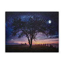 Картина з світловими ефектами нічне небо із повним місяцем, який світиться, 1 LЕD лампа, 30х40 см (940225)