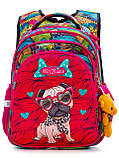 Рюкзак шкільний для дівчаток SkyName R2-174 Full Set, фото 2