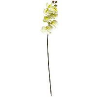 Орхидея, 72 см, белый искусственный цветок (630324)