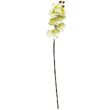 Орхідея, 72 см, штучна квітка біла (630324)
