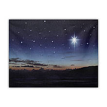 Картина з світловими ефектами зоряне небо і полярна зірка, яка світиться, 1 LЕD лампа, 30х40 см (940232)