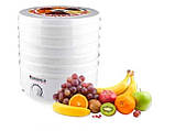 Сушилка для овочів і фруктів BY1162 GRUNHELM, 520 Вт, 5 рівнів, діам.38 см, фото 2