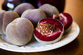 Саджанці персика Блек Бой (Black Boy Peach, Blackboy)