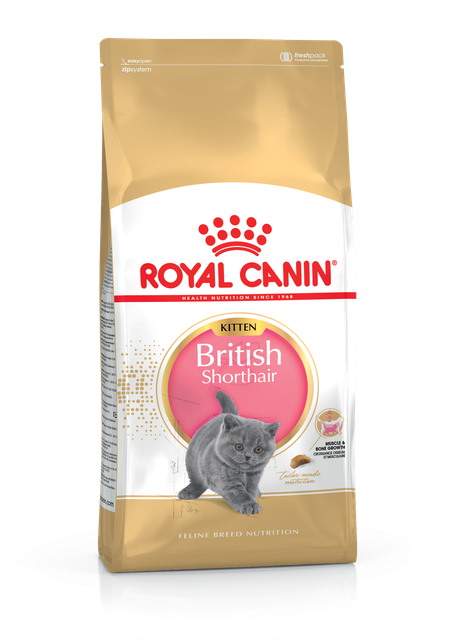 АКЦІЯ! Сухий корм Royal Canin Kitten British для кошенят британської кішки, 2КГ + 0,4 КГ у подарунок!